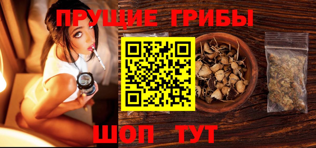 Галлюциногенные грибы прущие грибы Ессентуки
